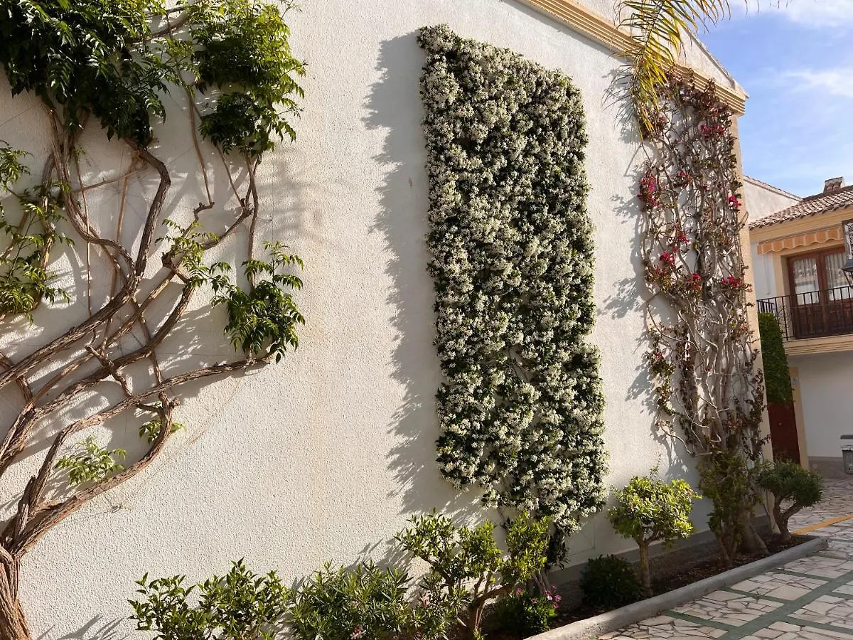 Apartamentos De Flores - Verde Vera