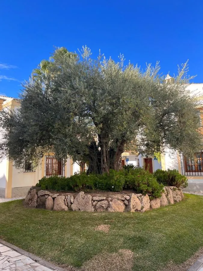 Apartment Apartamentos De Flores - Verde Vera Spain