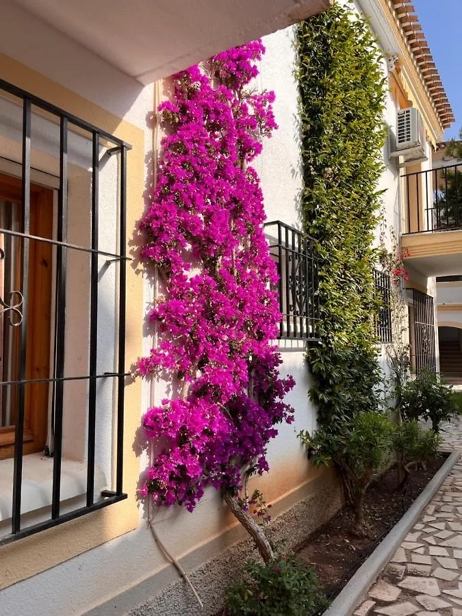 Apartamentos De Flores - Verde Vera